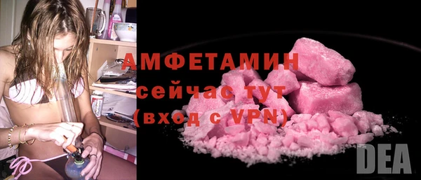 индика Инсар