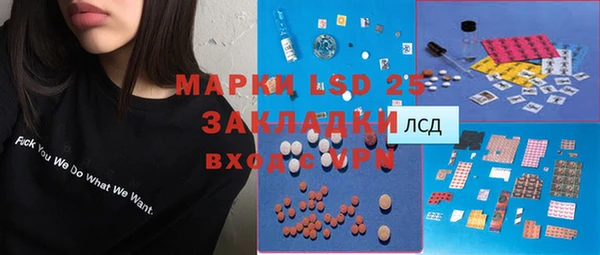дживик Инта