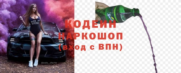дживик Инта