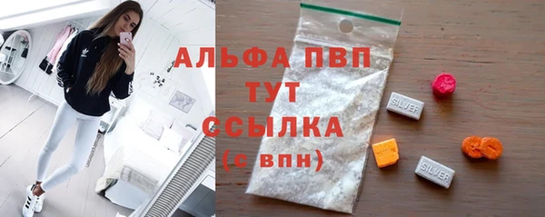 дживик Инта