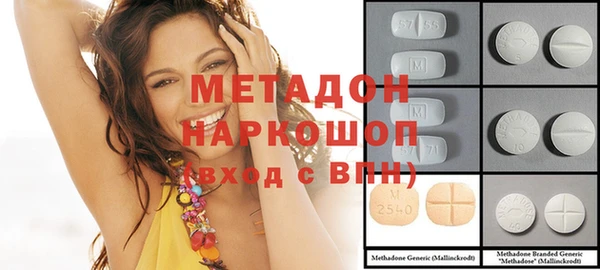 индика Инсар