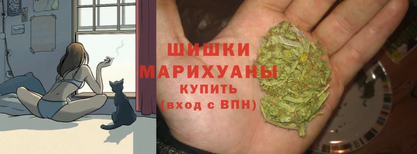 дживик Инта