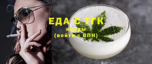 дживик Инта