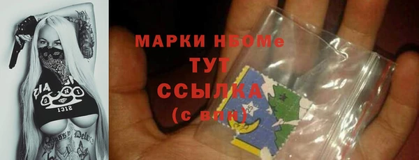 индика Инсар