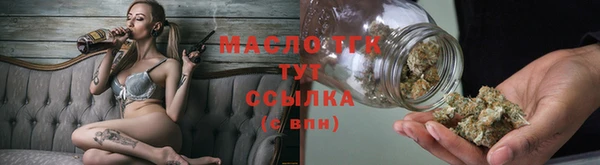 индика Инсар