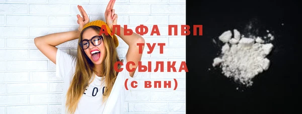 индика Инсар
