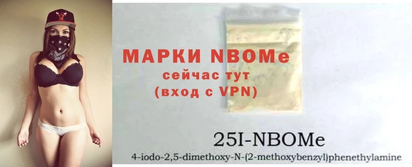 дживик Инта