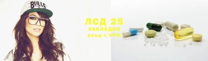 индика Инсар