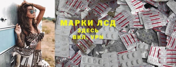 индика Инсар