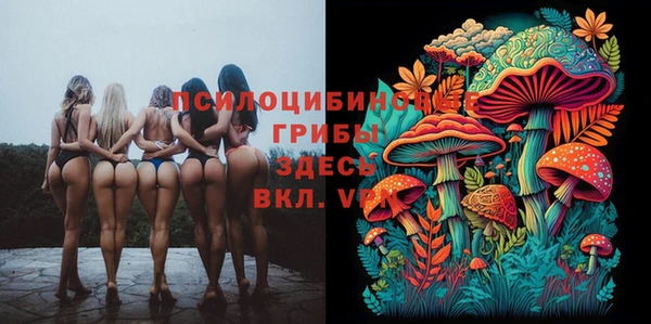 индика Инсар