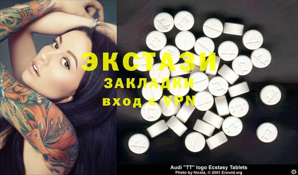 индика Инсар