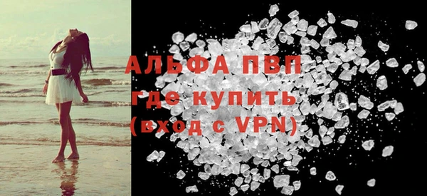 индика Инсар
