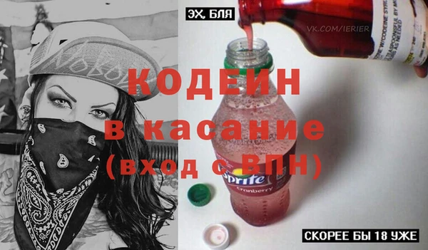 индика Инсар