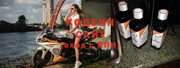 дживик Инта