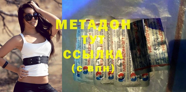индика Инсар