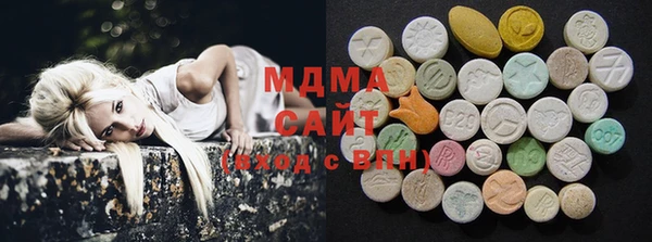 индика Инсар