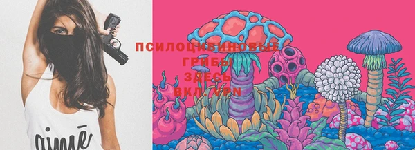 индика Инсар