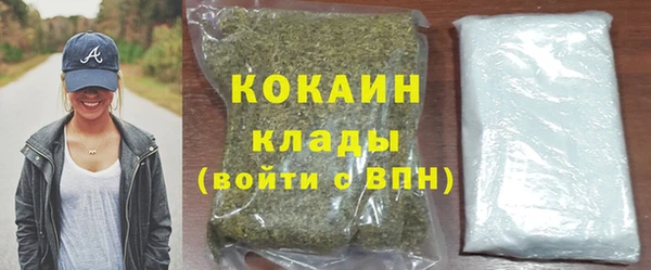 дживик Инта