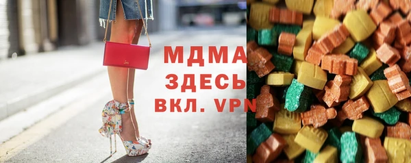 индика Инсар