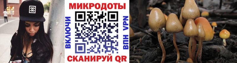 Купить где  Кадников  Галлюциногенные грибы прущие грибы 
